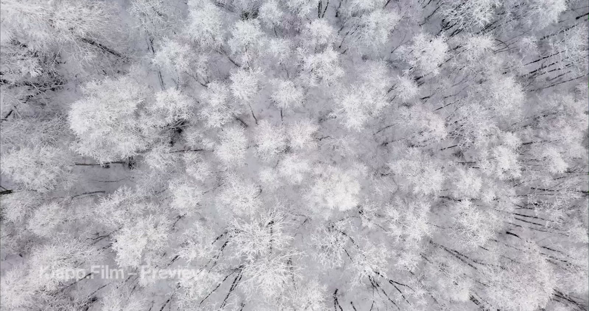 KF-MT1-0037 stock footage thumbnail