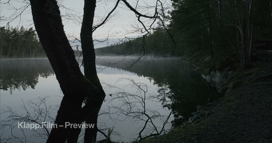 KF-MT2-0003 stock footage thumbnail