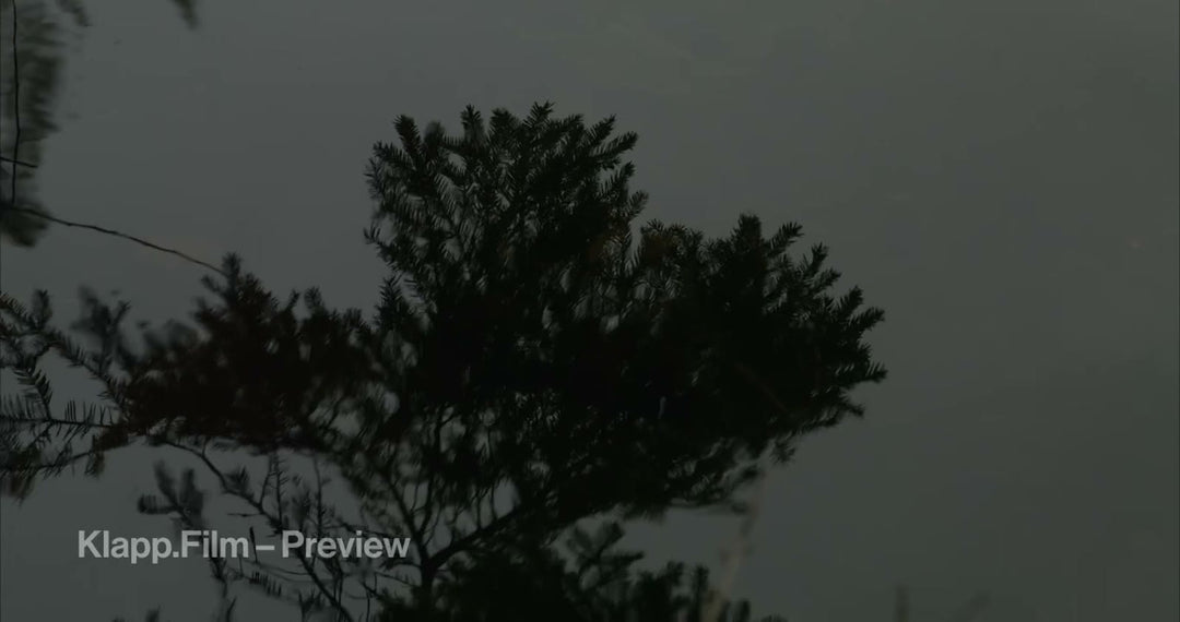KF-MT2-0008 stock footage thumbnail