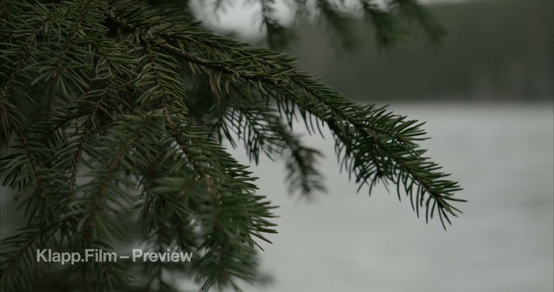 KF-MT2-0009 stock footage thumbnail