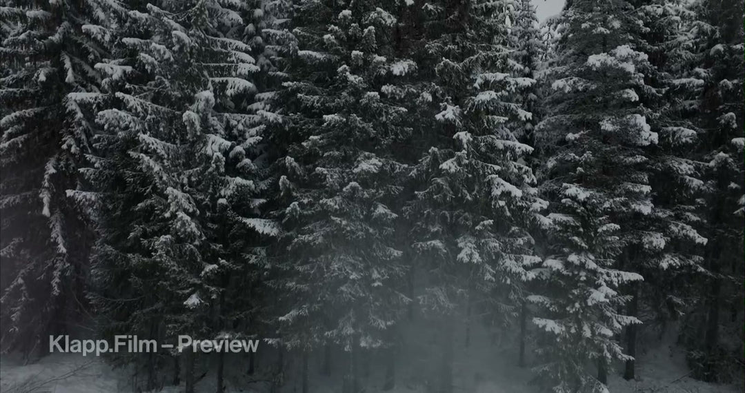 KF-MT2-0042 stock footage thumbnail