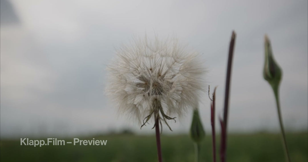 KF-MT2-0075 stock footage thumbnail