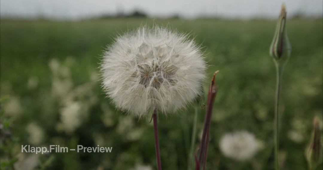 KF-MT2-0076 stock footage thumbnail