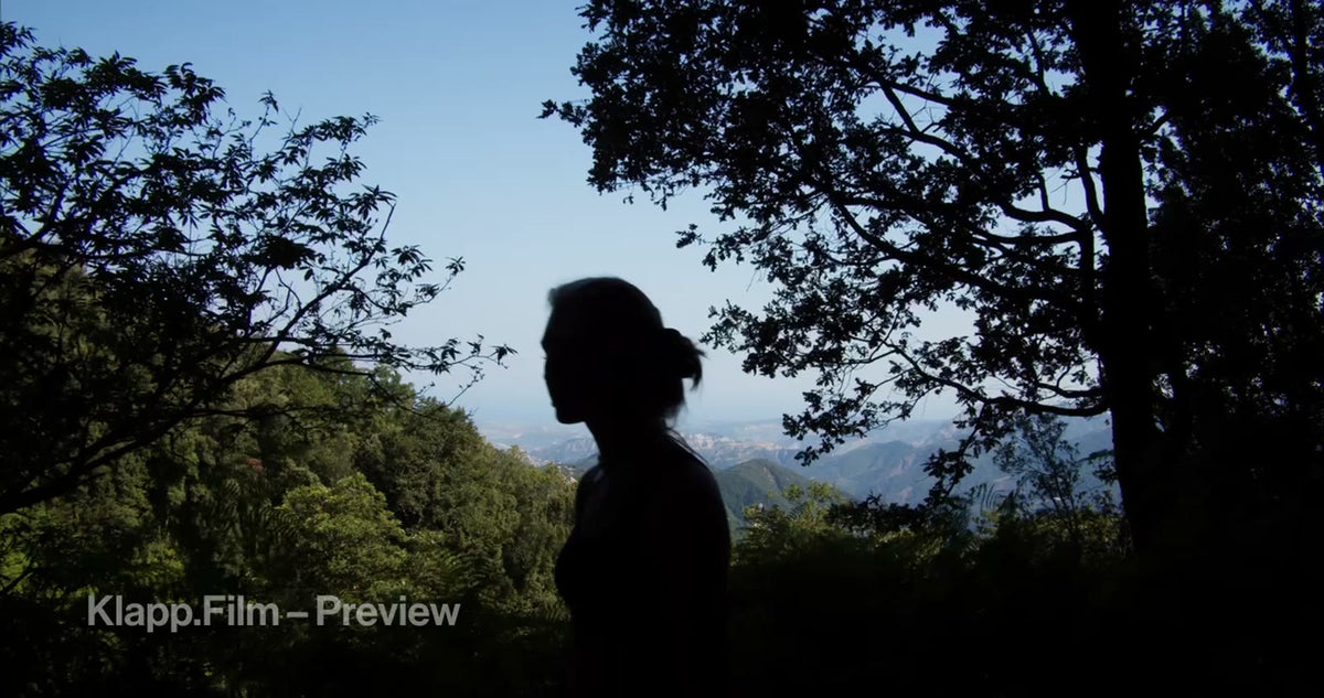 KF-MT2-0097 stock footage thumbnail
