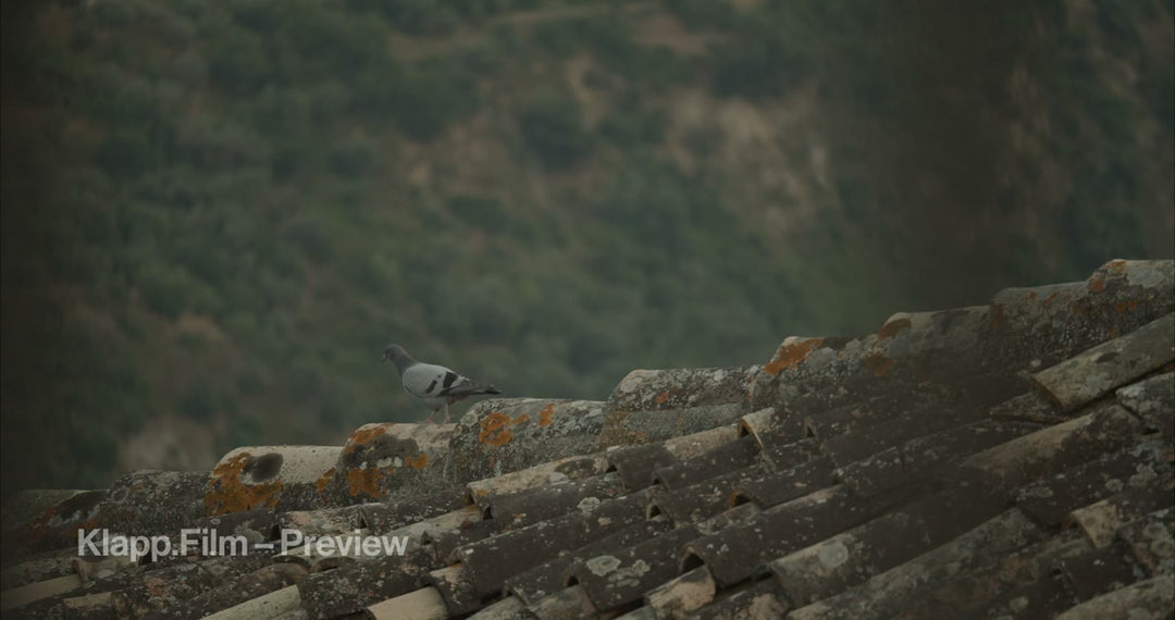 KF-MT2-0098 stock footage thumbnail