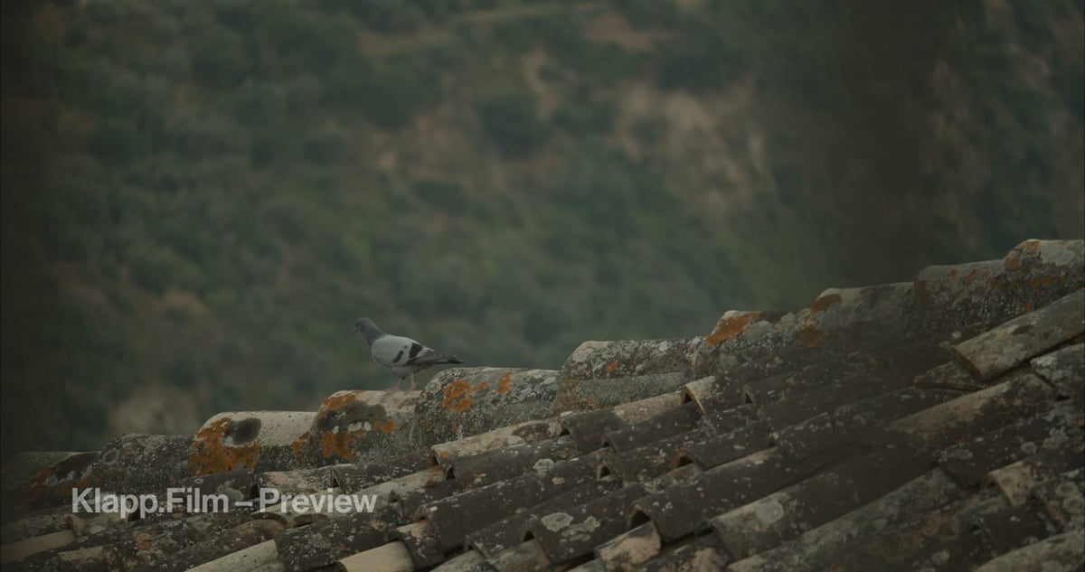 KF-MT2-0098 stock footage thumbnail