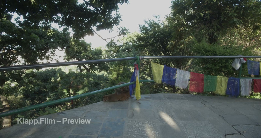 KF-NKA-0117 stock footage thumbnail