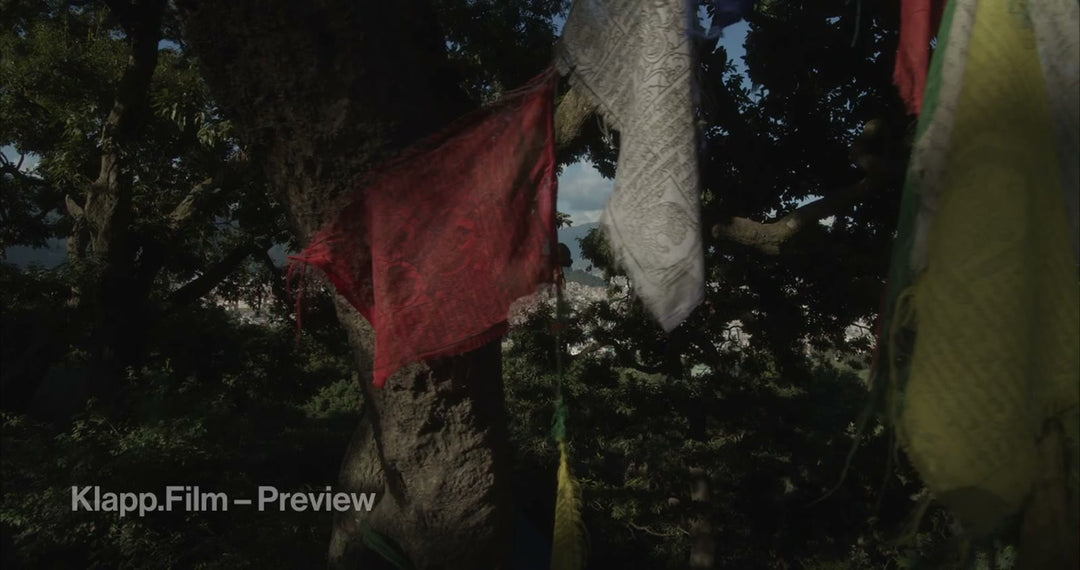 KF-NKA-0119 stock footage thumbnail
