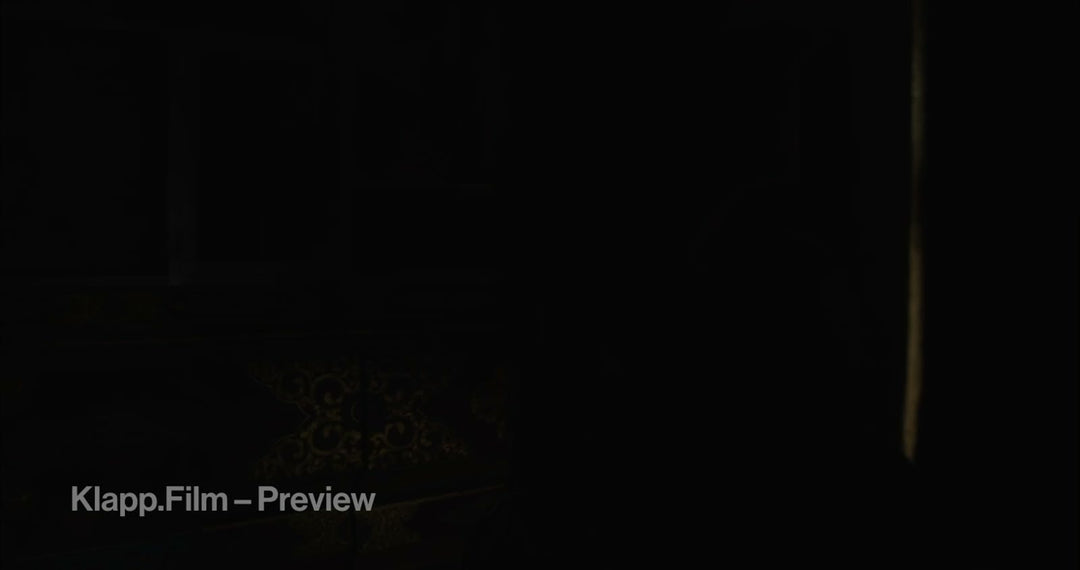 KF-NKA-0123 stock footage thumbnail