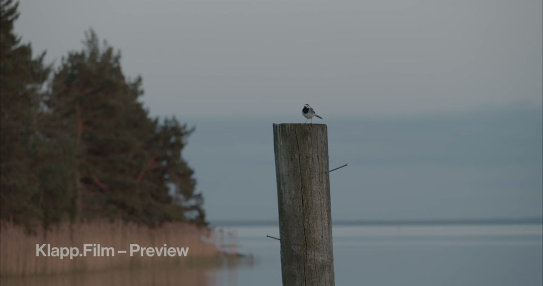KF-RSE-0105 stock footage thumbnail