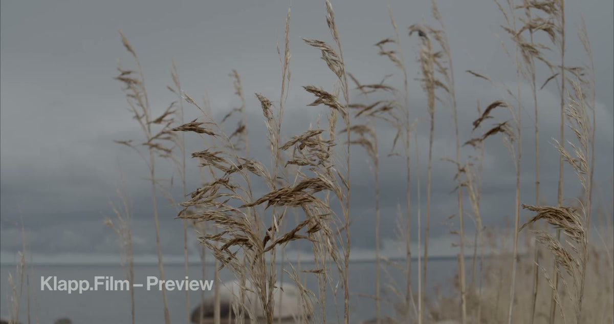 KF-RSE-0106 stock footage thumbnail