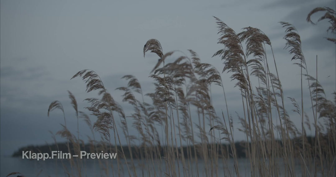 KF-RSE-0107 stock footage thumbnail