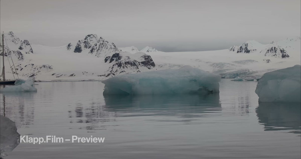 KF-SVA-0008 stock footage thumbnail