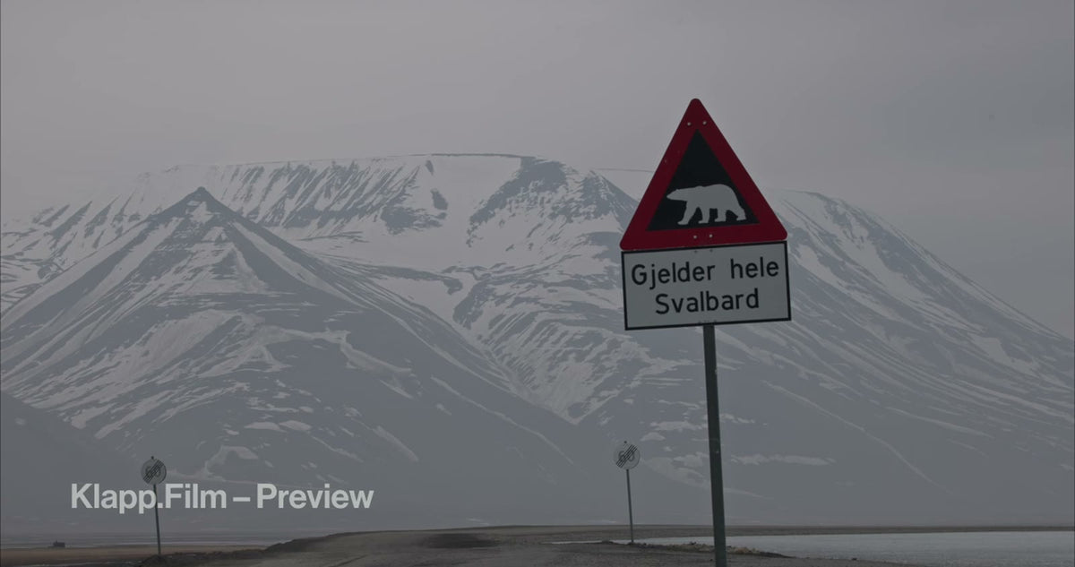 KF-SVA-0013 stock footage thumbnail