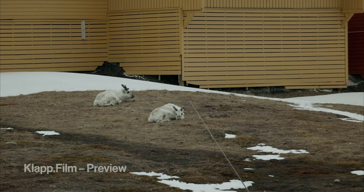 KF-SVA-0026 stock footage thumbnail