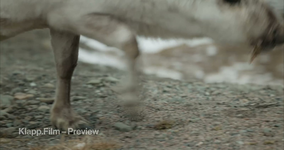 KF-SVA-0027 stock footage thumbnail