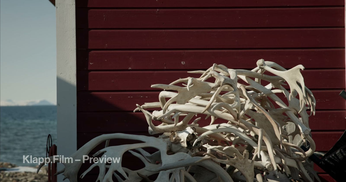 KF-SVA-0030 stock footage thumbnail