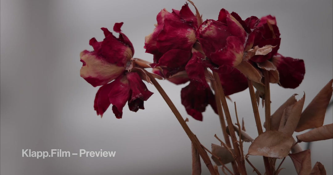 KF-SVA-0039 stock footage thumbnail
