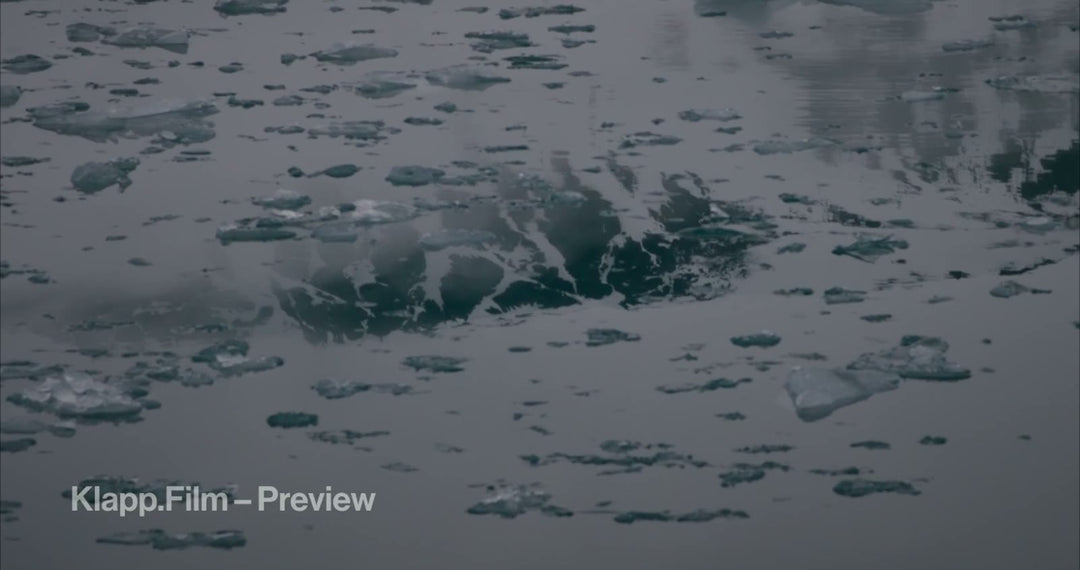 KF-SVA-0048 stock footage thumbnail