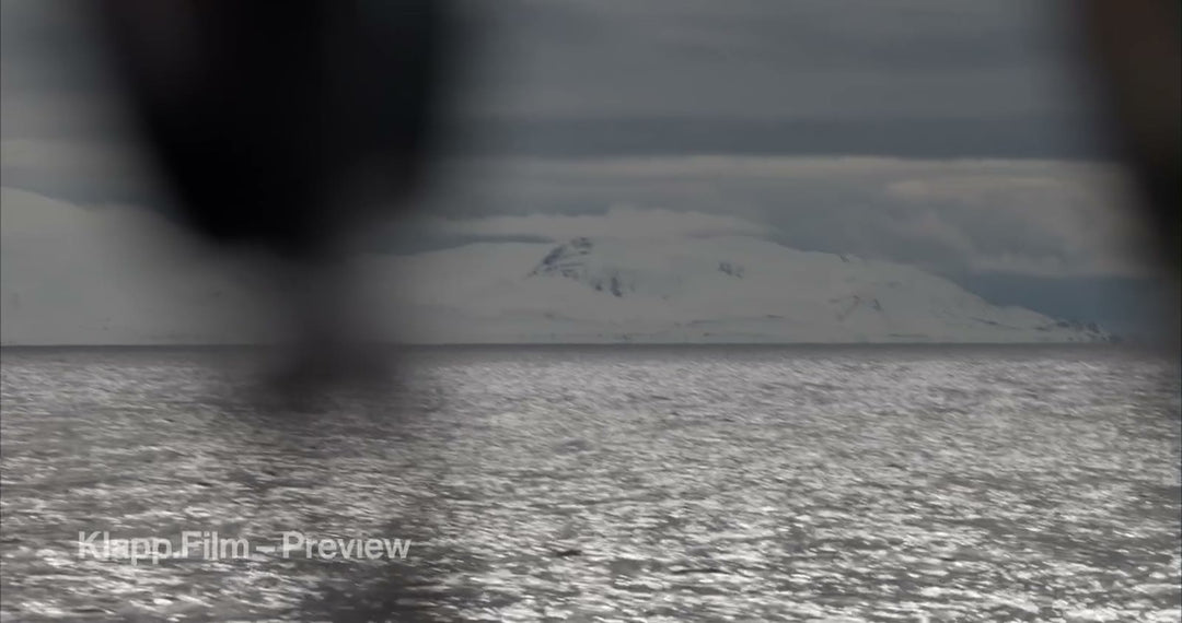 KF-SVA-0050 stock footage thumbnail