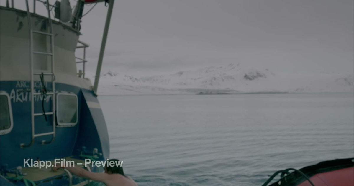KF-SVA-0073 stock footage thumbnail
