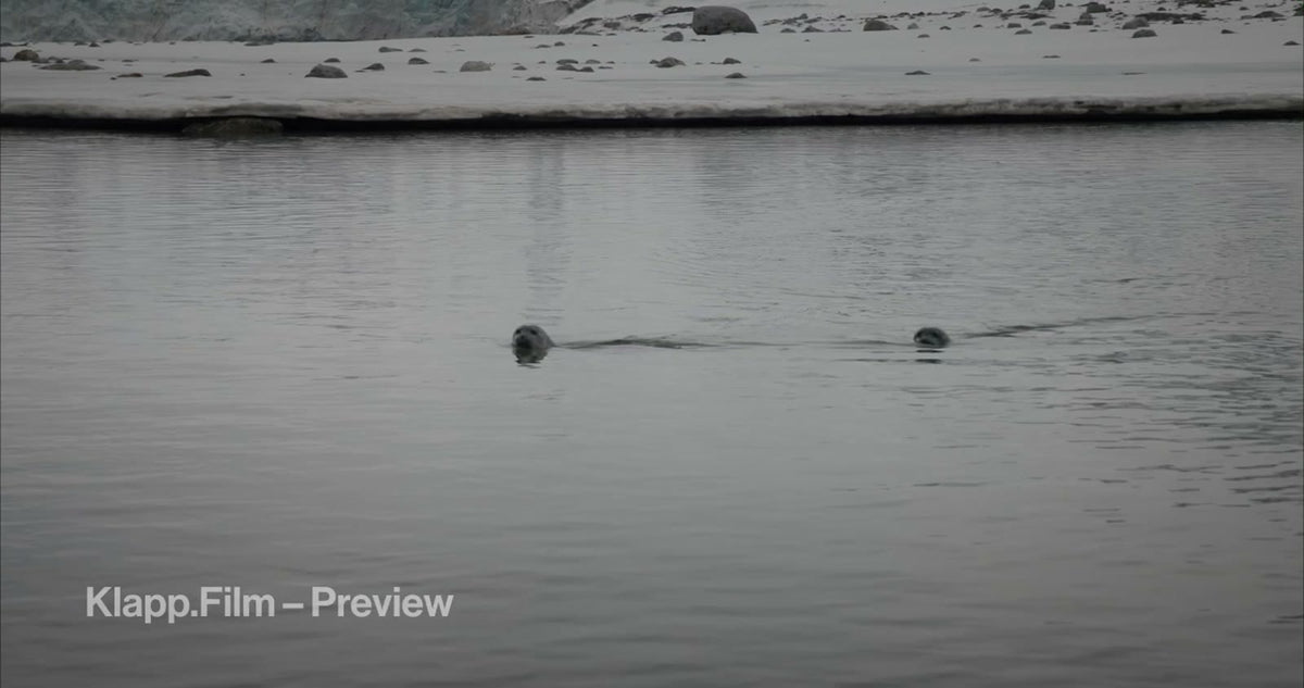 KF-SVA-0094 stock footage thumbnail