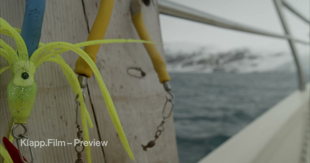 KF-SVA-0108 stock footage thumbnail