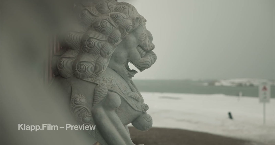 KF-SVA-0127 stock footage thumbnail