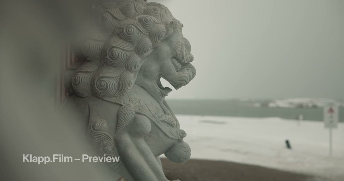 KF-SVA-0127 stock footage thumbnail