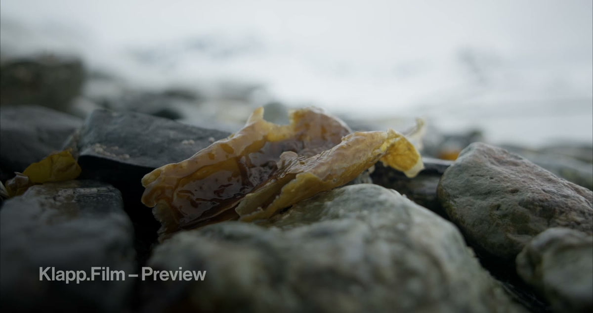 KF-SVA-0182 stock footage thumbnail