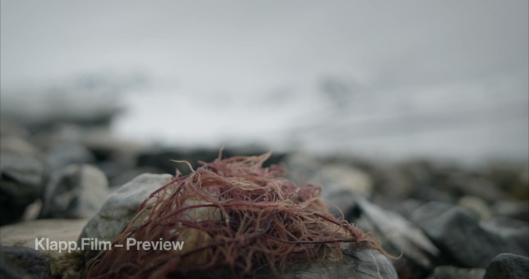 KF-SVA-0183 stock footage thumbnail