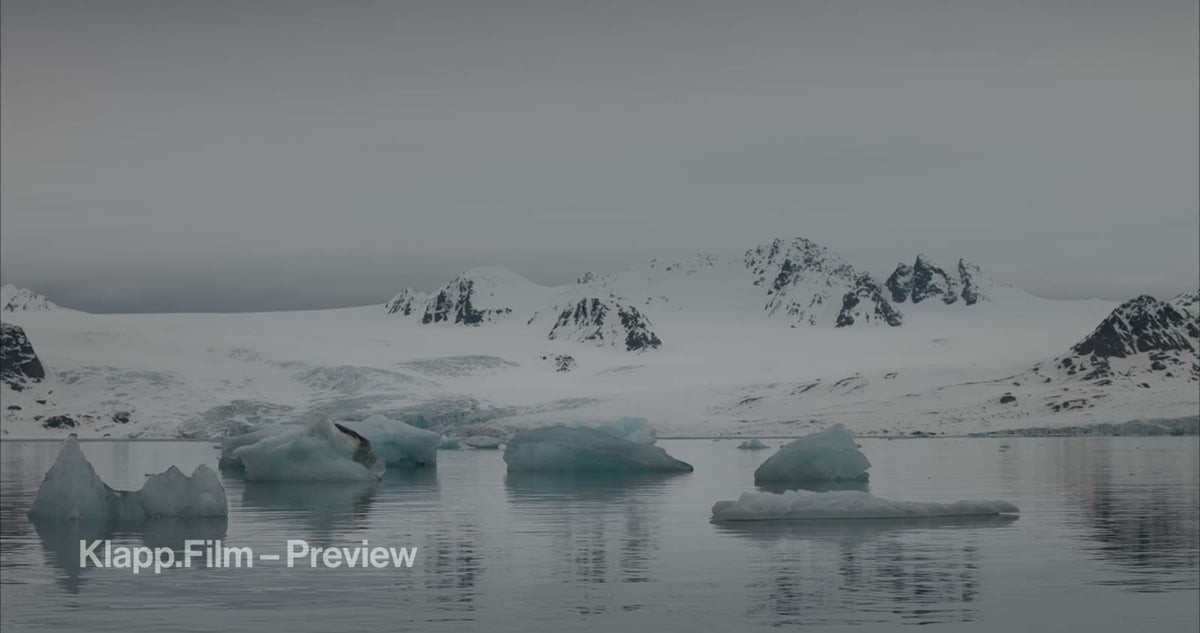 KF-SVA-0185 stock footage thumbnail