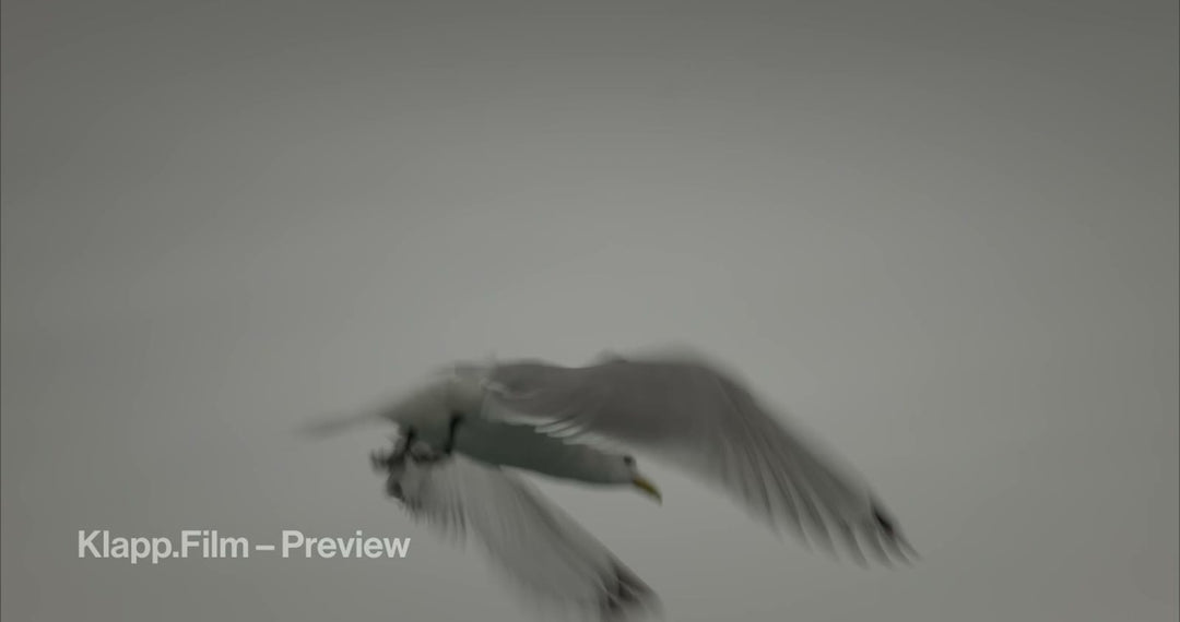 KF-SVA-0187 stock footage thumbnail