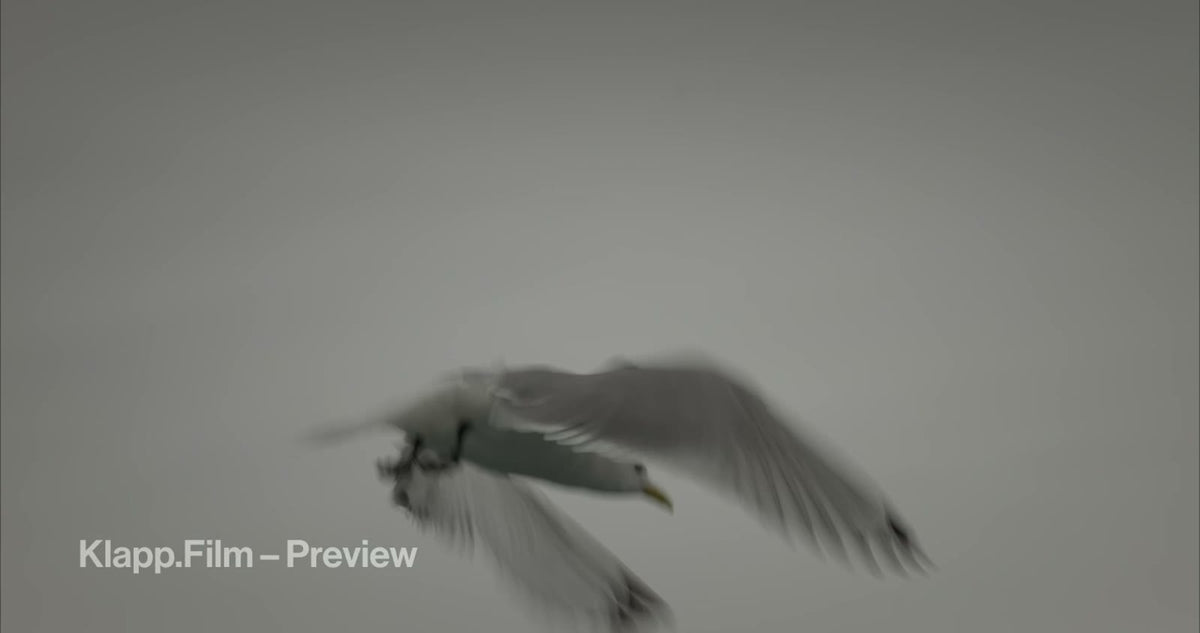KF-SVA-0187 stock footage thumbnail