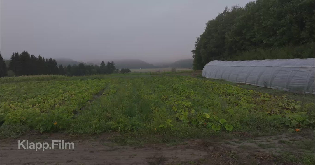 Klapp.Film preview KF-RSE-0009