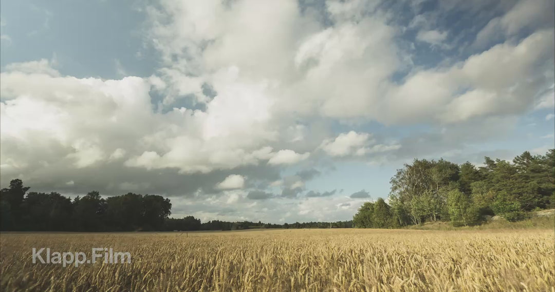 Klapp.Film preview KF-RSE-0082