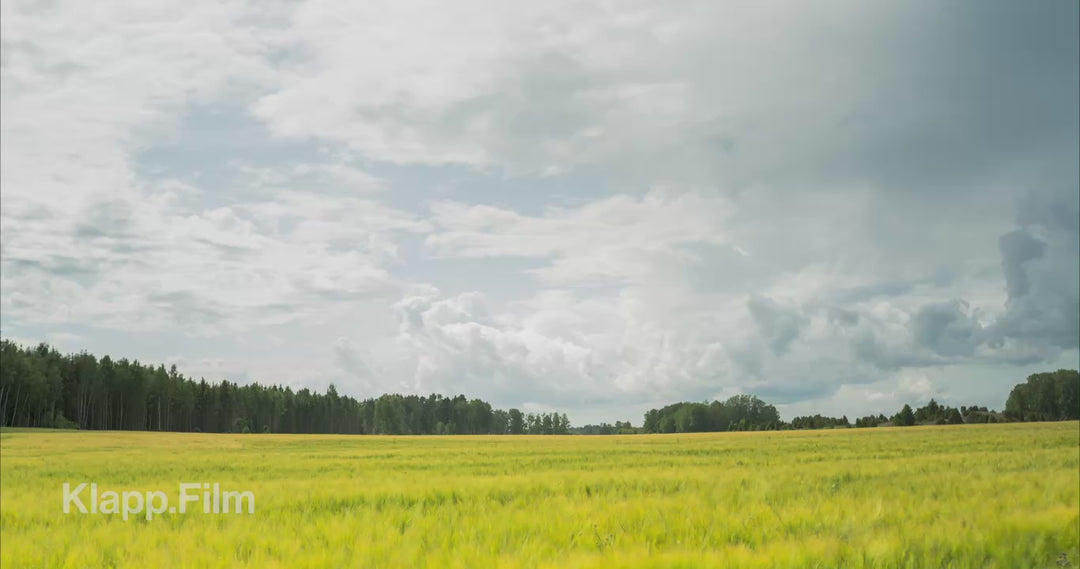 Klapp.Film preview KF-RSE-0083