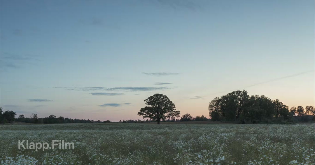 Klapp.Film preview KF-RSE-0100